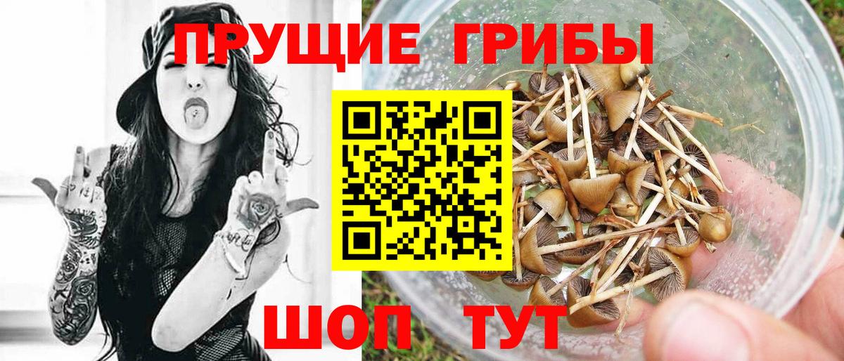 Галлюциногенные грибы MAGIC MUSHROOMS Узловая