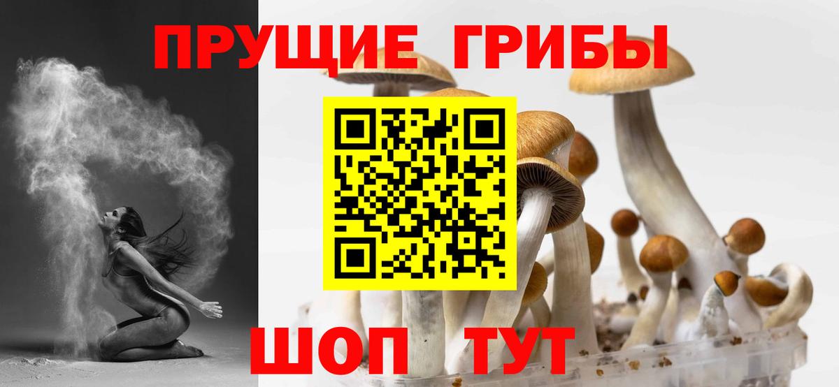 Узловая  Псилоцибиновые грибы мухоморы  даркнет сайт  Вход с VPN 